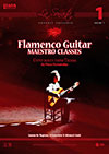 Flamenco guitar