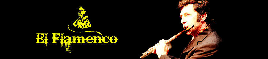 Jorge Pardo